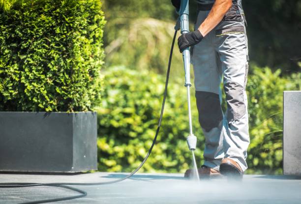 Best Sidewalk and Walkway Cleaning  in Dos Palos, CA